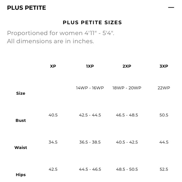 Talbots Textured Ruffle Sleeve Blouse XP - Picture 8 of 8